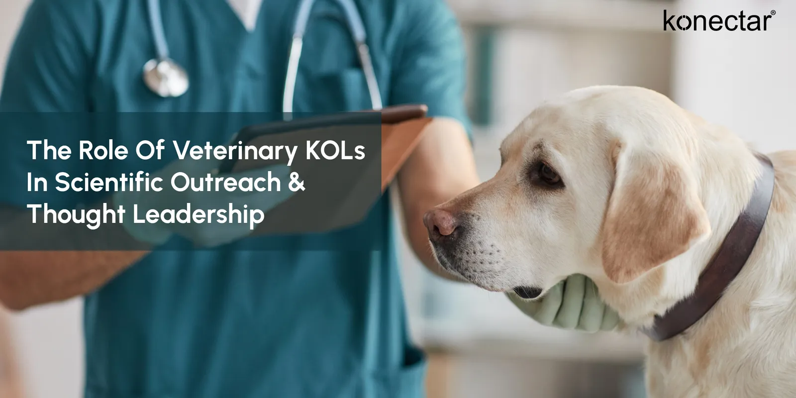 The Role of Veterinary KOLs in Scientific Outreach & Thought Leadership