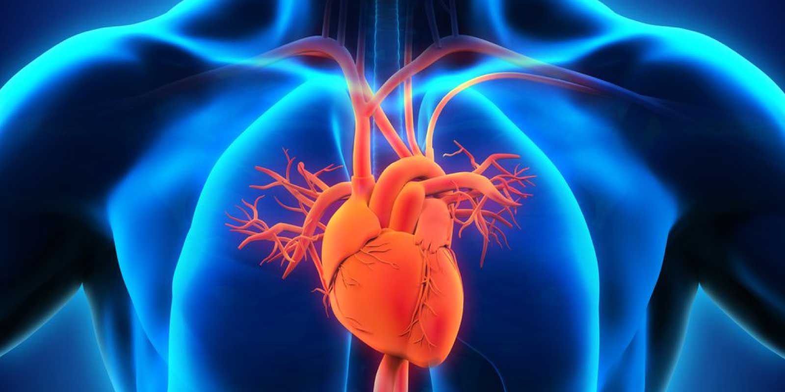 Transcatheter Aortic Valve Implantation (TAVI); new technology for Heart Valve replacement